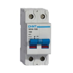 CHINT  2 Pole 100A Isolator